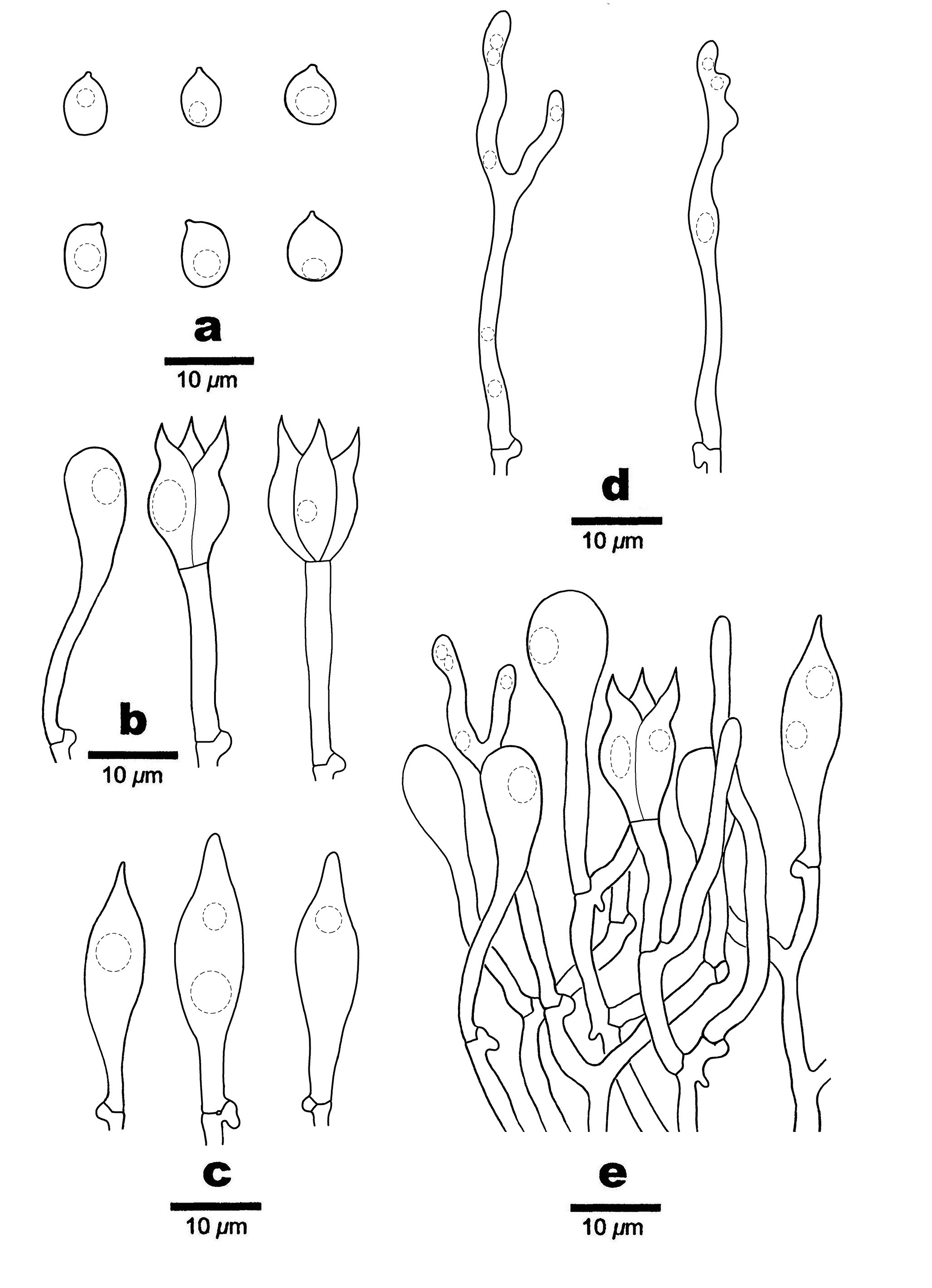 Figure 43